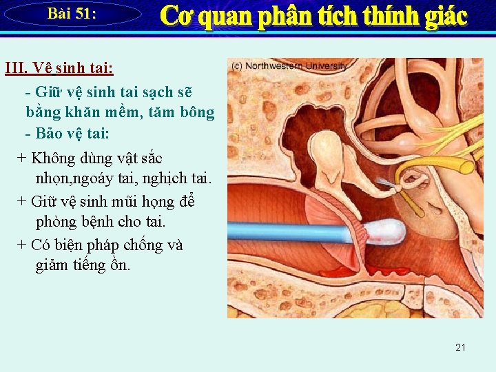 Bài 51: III. Vệ sinh tai: - Giữ vệ sinh tai sạch sẽ bằng