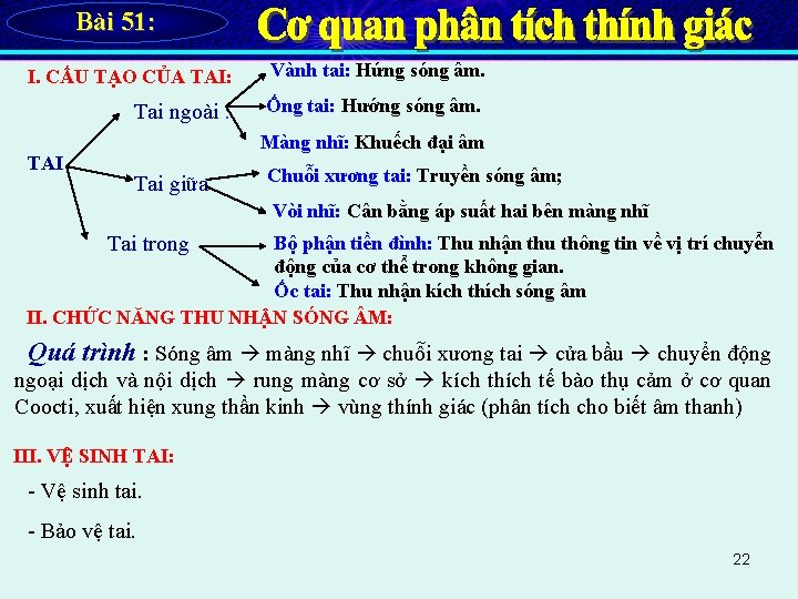 Bài 51: I. CẤU TẠO CỦA TAI: Vành tai: Hứng sóng âm. Tai ngoài