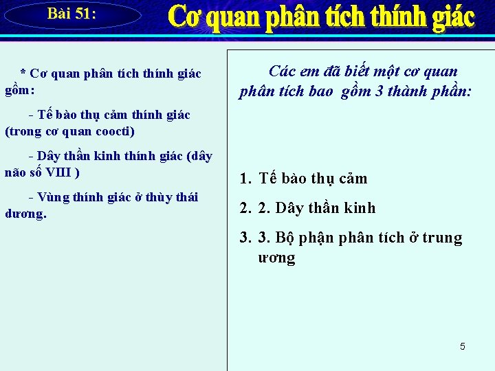 Bài 51: * Cơ quan phân tích thính giác gồm: Các em đã biết