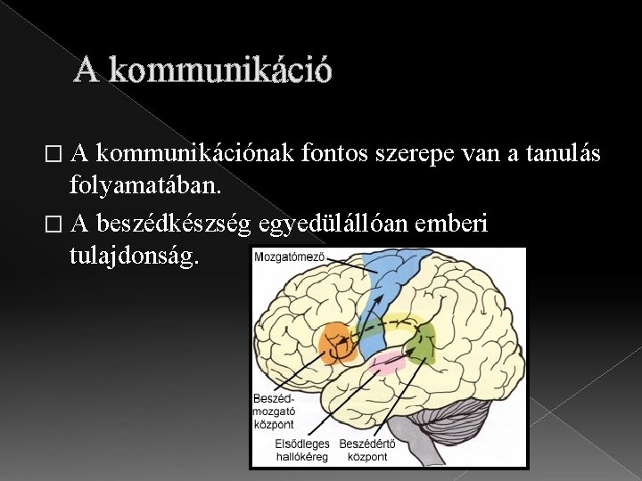 A kommunikáció �A kommunikációnak fontos szerepe van a tanulás folyamatában. � A beszédkészség egyedülállóan