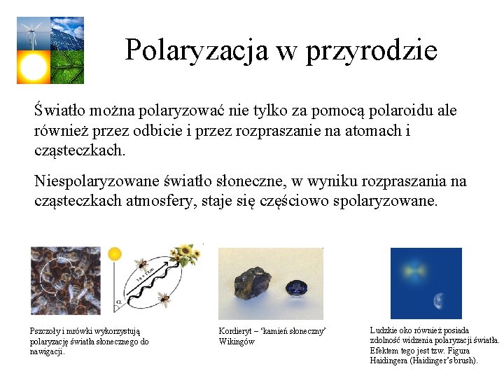 Polaryzacja w przyrodzie Światło można polaryzować nie tylko za pomocą polaroidu ale również przez