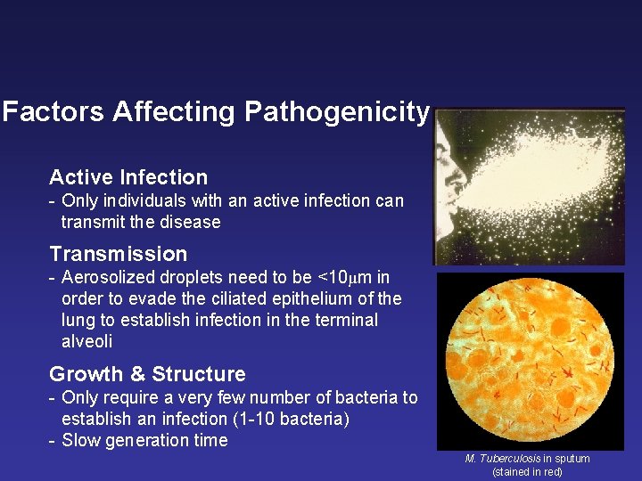 Factors Affecting Pathogenicity Active Infection - Only individuals with an active infection can transmit