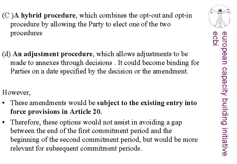 (d) An adjustment procedure, which allows adjustments to be made to annexes through decisions.