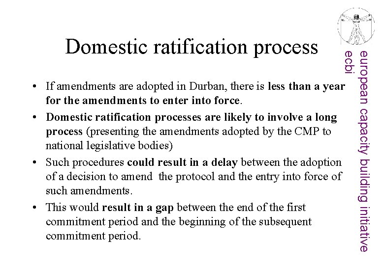 european capacity building initiative ecbi Domestic ratification process • If amendments are adopted in