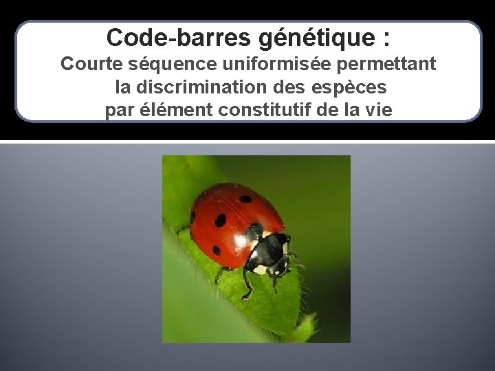 Code-barres génétique : Courte séquence uniformisée permettant la discrimination des espèces par élément constitutif