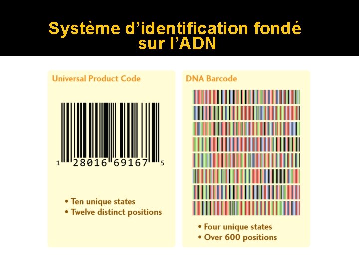 Système d’identification fondé sur l’ADN 
