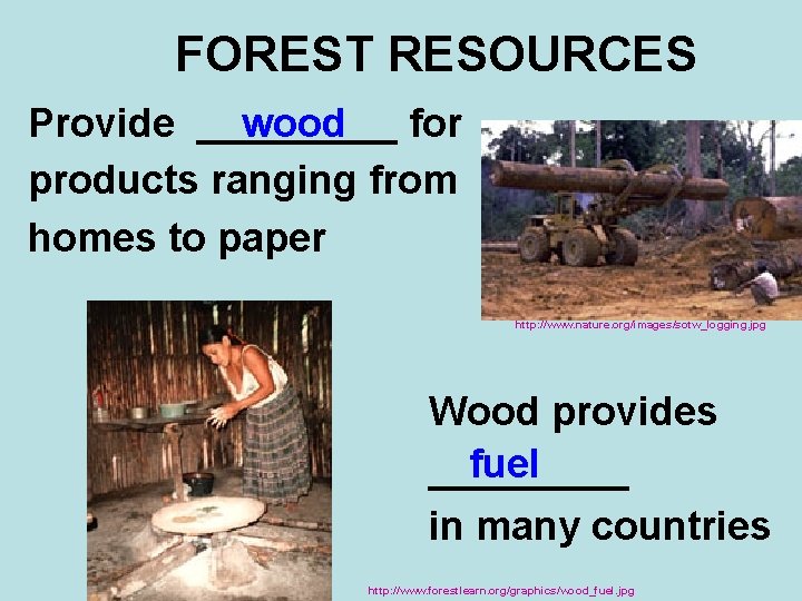FOREST RESOURCES wood Provide _____ for products ranging from homes to paper http: //www.