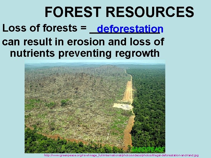 FOREST RESOURCES Loss of forests = ______ deforestation can result in erosion and loss