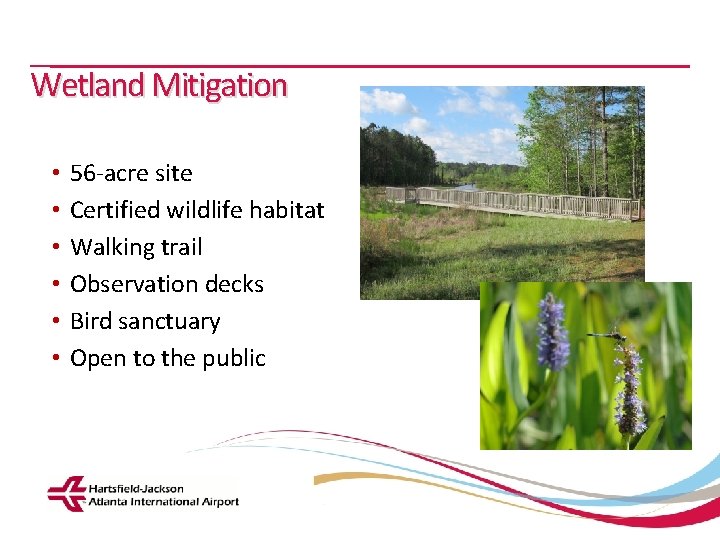 Wetland Mitigation • • • 56 -acre site Certified wildlife habitat Walking trail Observation