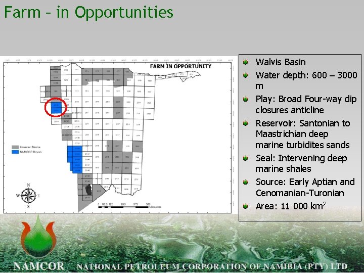Farm – in Opportunities Walvis Basin Water depth: 600 – 3000 m Play: Broad