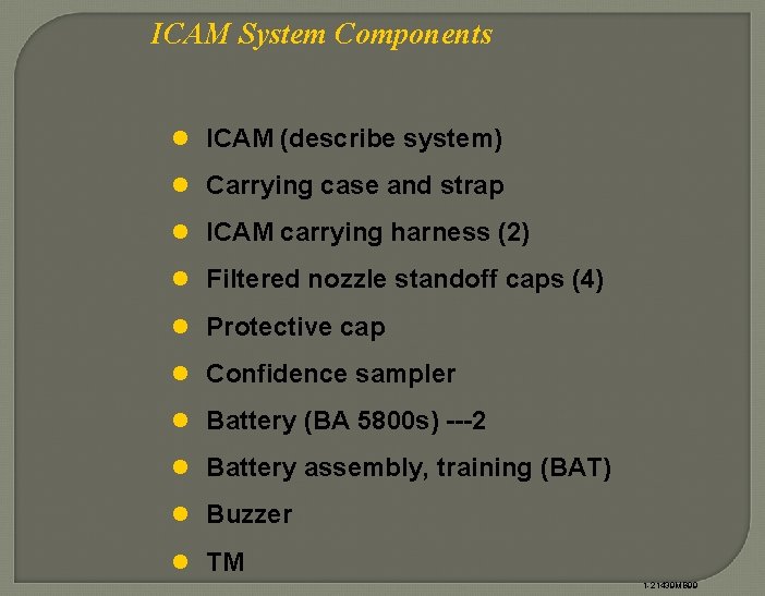 ICAM System Components l ICAM (describe system) l Carrying case and strap l ICAM