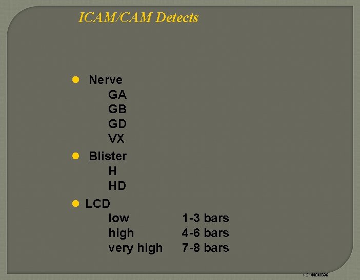 ICAM/CAM Detects l Nerve GA GB GD VX l Blister H HD l LCD