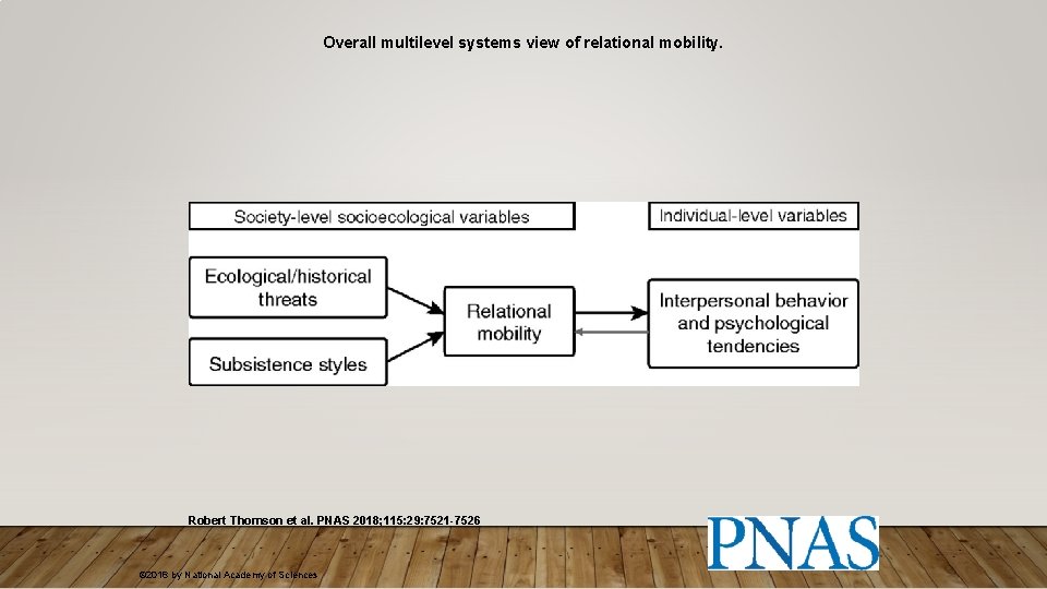 Overall multilevel systems view of relational mobility. Robert Thomson et al. PNAS 2018; 115: Overall multilevel systems view of relational mobility. Robert Thomson et al. PNAS 2018; 115: