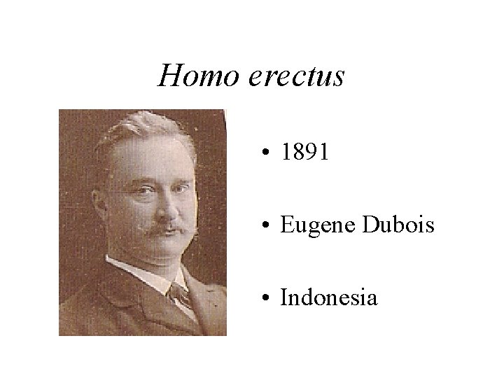 Homo erectus • 1891 • Eugene Dubois • Indonesia 