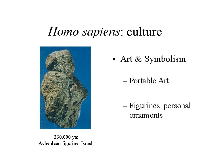 Homo sapiens: culture • Art & Symbolism – Portable Art – Figurines, personal ornaments