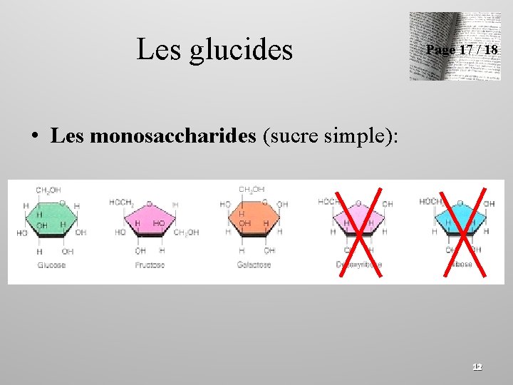Les glucides Page 17 / 18 • Les monosaccharides (sucre simple): 12 