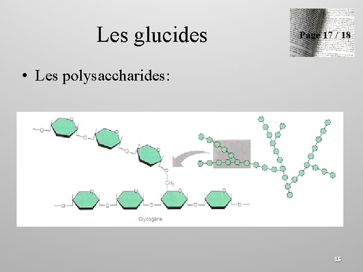 Les glucides Page 17 / 18 • Les polysaccharides: 15 