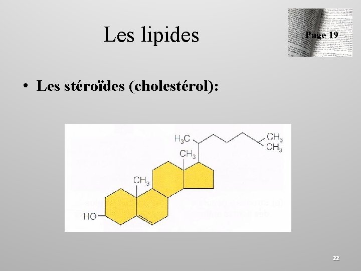 Les lipides Page 19 • Les stéroïdes (cholestérol): 22 