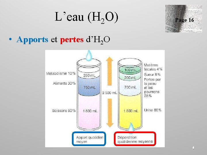 L’eau (H 2 O) Page 16 • Apports et pertes d’H 2 O 6