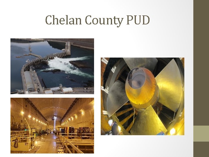 Chelan County PUD 