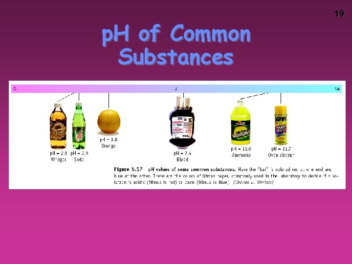 p. H of Common Substances 19 