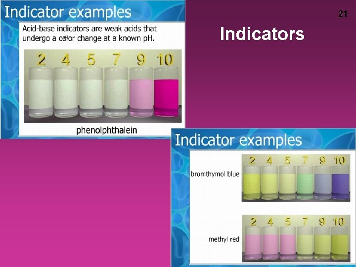 21 Indicators 