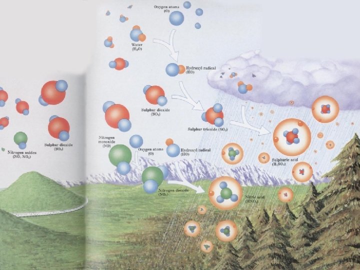 30 Formation of Acid Rain 