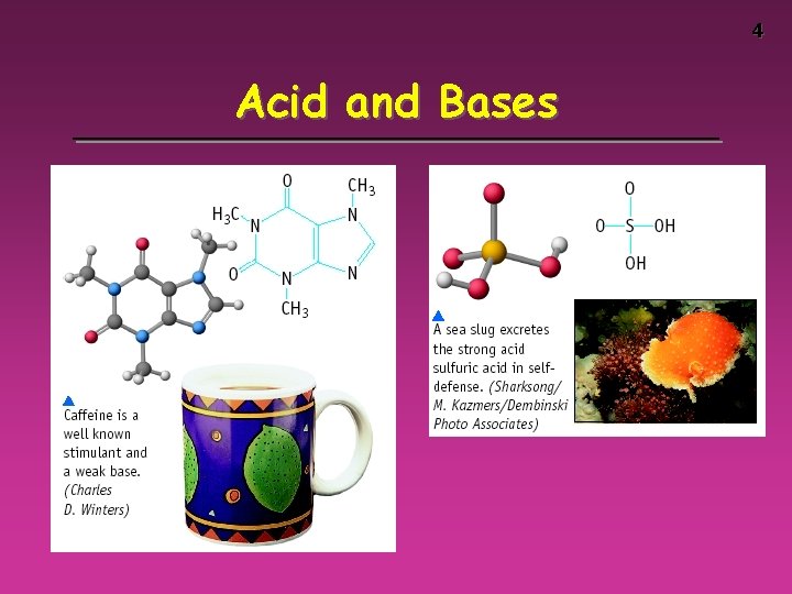 4 Acid and Bases 