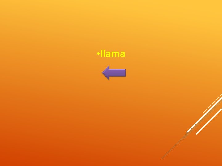  • llama 