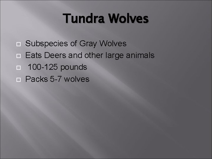 Tundra Wolves Subspecies of Gray Wolves Eats Deers and other large animals 100 -125