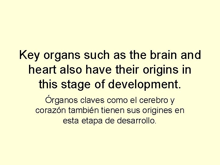 Key organs such as the brain and heart also have their origins in this