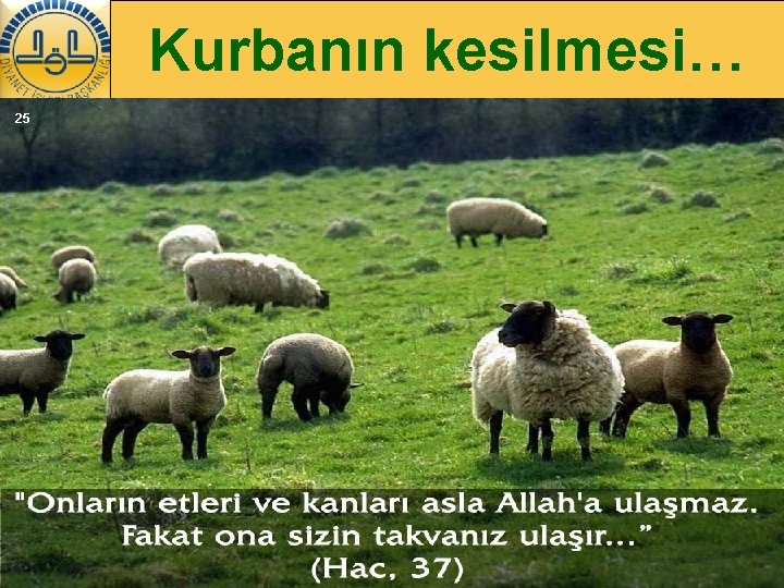 Kurbanın kesilmesi… 25 