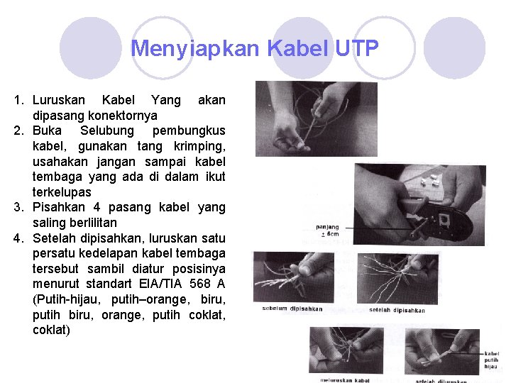 Menyiapkan Kabel UTP 1. Luruskan Kabel Yang akan dipasang konektornya 2. Buka Selubung pembungkus