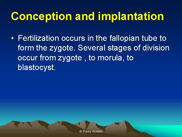 Conception and implantation • Fertilization occurs in the fallopian tube to form the zygote.