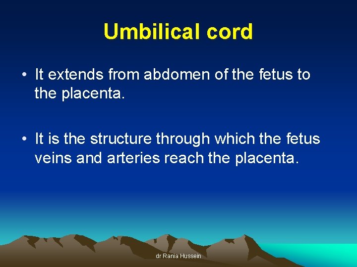 Umbilical cord • It extends from abdomen of the fetus to the placenta. •