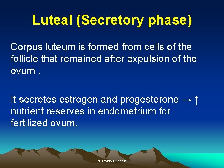 Luteal (Secretory phase) Corpus luteum is formed from cells of the follicle that remained