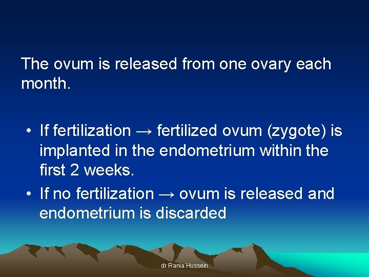 The ovum is released from one ovary each month. • If fertilization → fertilized