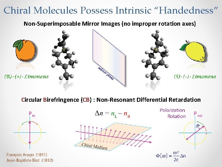 Chiral Molecules Possess Intrinsic “Handedness” Non-Superimposable Mirror Images (no improper rotation axes) Circular Birefringence