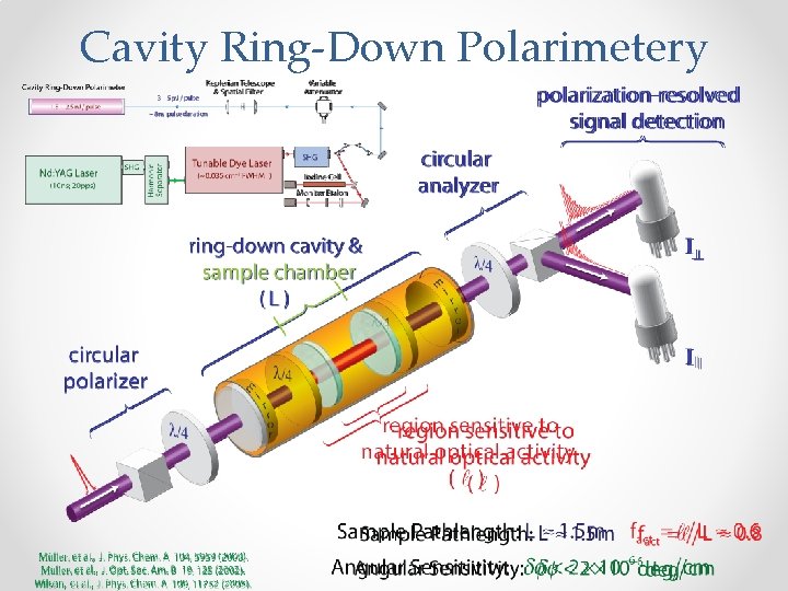 Cavity Ring-Down Polarimetery 