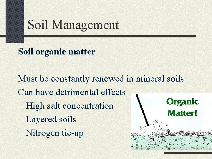 Soil Management Soil organic matter Must be constantly renewed in mineral soils Can have