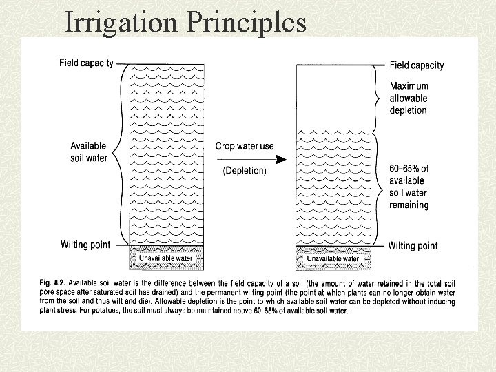 Irrigation Principles 