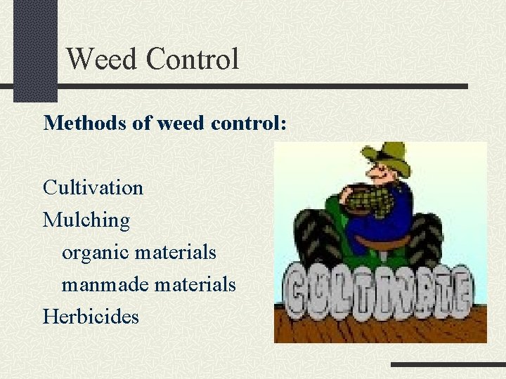Weed Control Methods of weed control: Cultivation Mulching organic materials manmade materials Herbicides 
