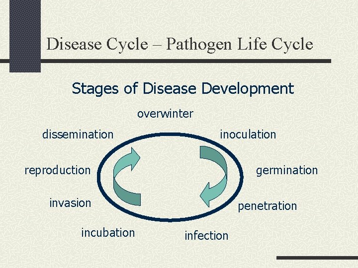 Disease Cycle – Pathogen Life Cycle Stages of Disease Development overwinter dissemination inoculation reproduction