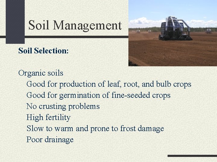 Soil Management Soil Selection: Organic soils Good for production of leaf, root, and bulb