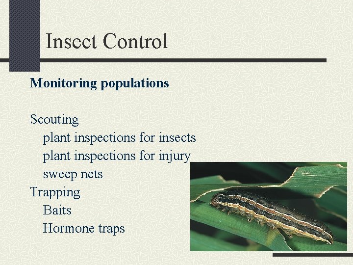 Insect Control Monitoring populations Scouting plant inspections for insects plant inspections for injury sweep