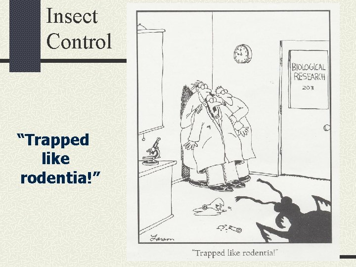 Insect Control “Trapped like rodentia!” 