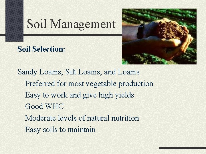 Soil Management Soil Selection: Sandy Loams, Silt Loams, and Loams Preferred for most vegetable