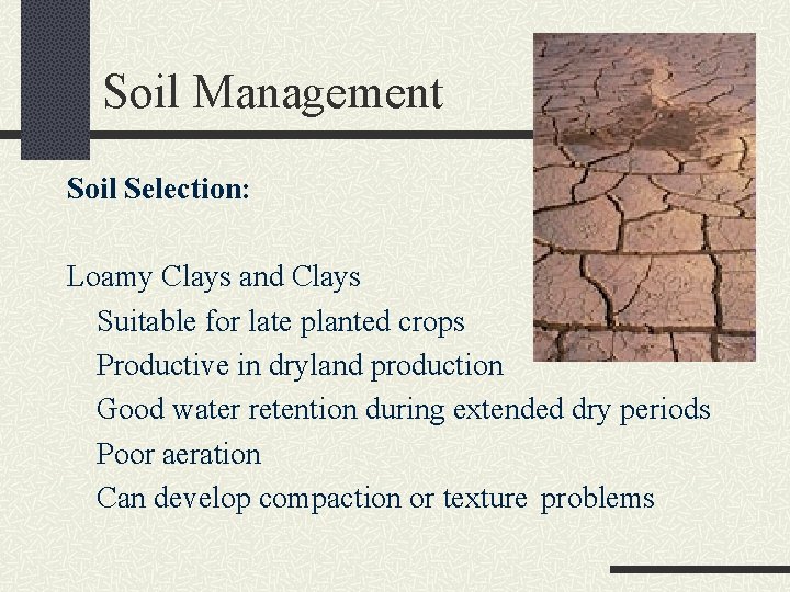 Soil Management Soil Selection: Loamy Clays and Clays Suitable for late planted crops Productive