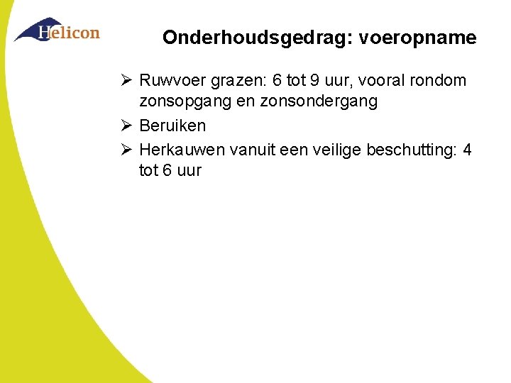 Onderhoudsgedrag: voeropname Ø Ruwvoer grazen: 6 tot 9 uur, vooral rondom zonsopgang en zonsondergang