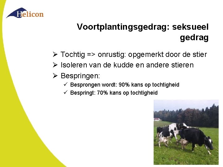 Voortplantingsgedrag: seksueel gedrag Ø Tochtig => onrustig: opgemerkt door de stier Ø Isoleren van